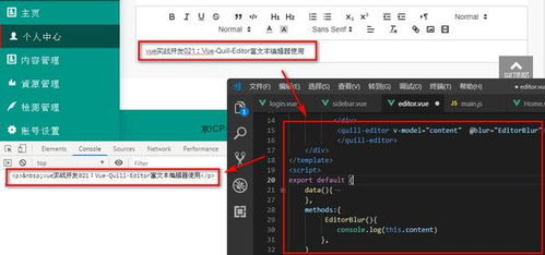 vue實戰(zhàn) vue quill editor富文本編輯器使用 許昌鯉魚it編程教育軟件開發(fā)培訓